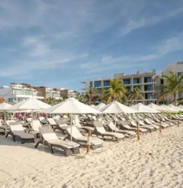 Playa Suites Hotel