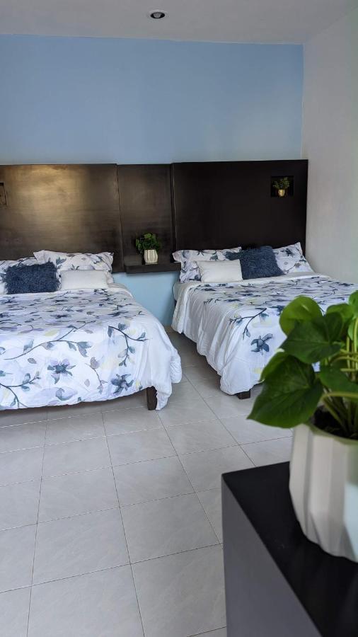 Hotel Playa Suites